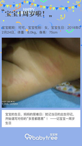 journal_insert_pic_1186918708