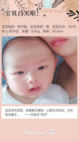 journal_insert_pic_1186699324