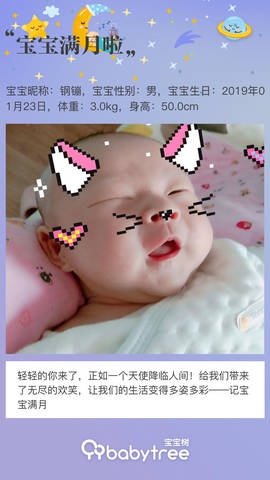 journal_insert_pic_1188046857