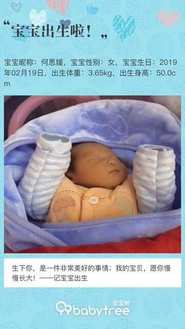 journal_insert_pic_1187891442