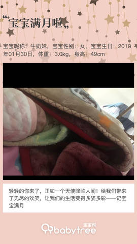 journal_insert_pic_1190428581
