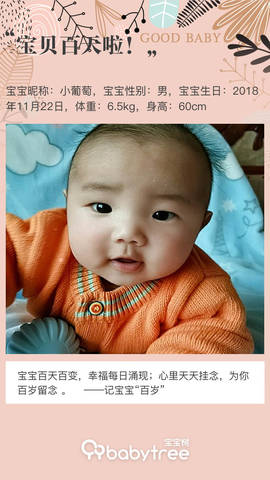journal_insert_pic_1191081922