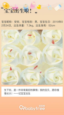journal_insert_pic_1190865937