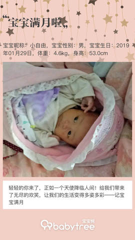 journal_insert_pic_1191085773