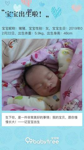 journal_insert_pic_1191177226