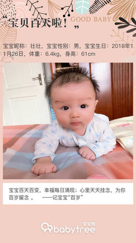 journal_insert_pic_1190876852