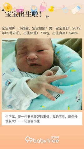 journal_insert_pic_1191512468