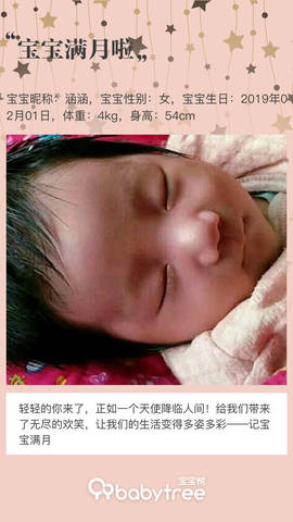 journal_insert_pic_1192826661