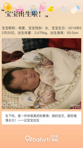 journal_insert_pic_1193556956