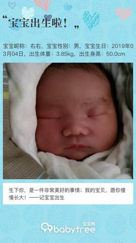 journal_insert_pic_1194041124