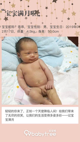 journal_insert_pic_1199895310