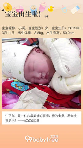 journal_insert_pic_1200786551