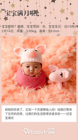 journal_insert_pic_1200209392