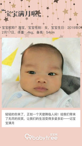 journal_insert_pic_1201284116