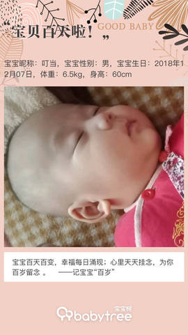 journal_insert_pic_1201123939