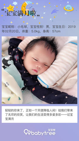 journal_insert_pic_1201588130