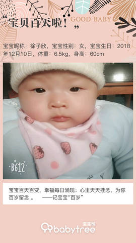 journal_insert_pic_1202955898