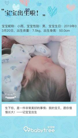 journal_insert_pic_1203258609