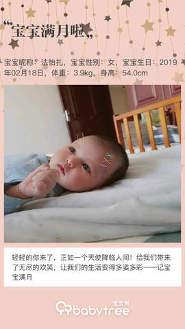 journal_insert_pic_1203187287