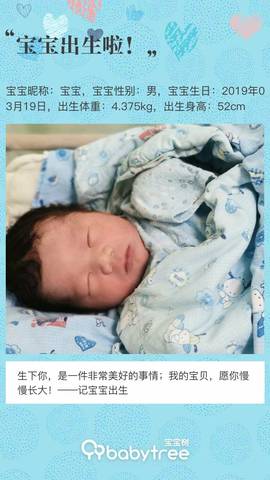 journal_insert_pic_1203388981