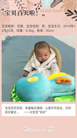 journal_insert_pic_1203679600