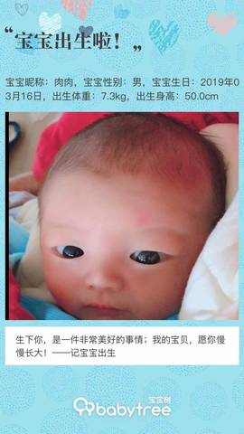 journal_insert_pic_1204219188