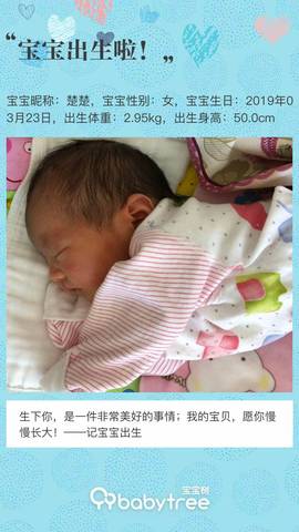 journal_insert_pic_1205738606