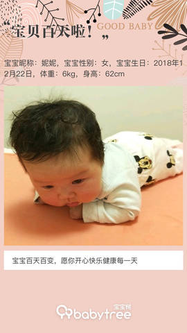 journal_insert_pic_1205809519
