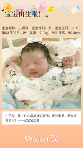 journal_insert_pic_1206089595