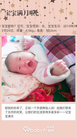 journal_insert_pic_1206108327