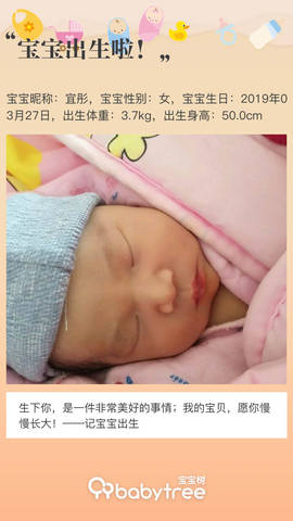 journal_insert_pic_1207534974