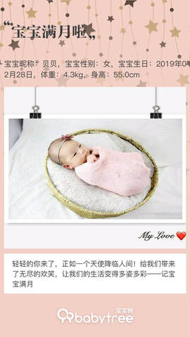 journal_insert_pic_1208412039