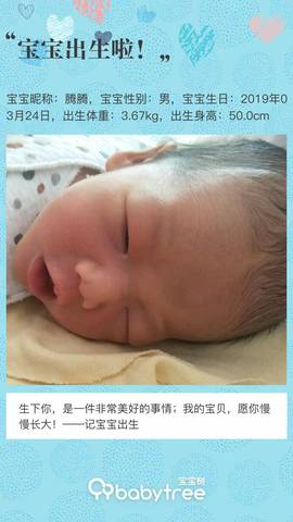 journal_insert_pic_1208540182