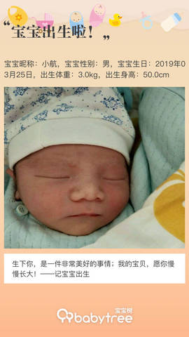journal_insert_pic_1209081591
