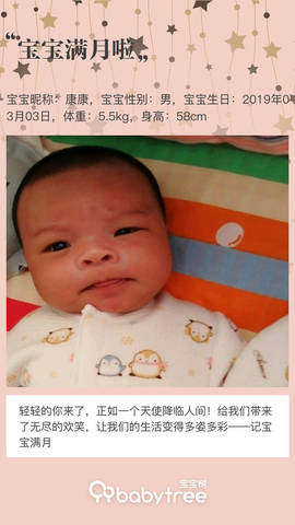 journal_insert_pic_1208769061