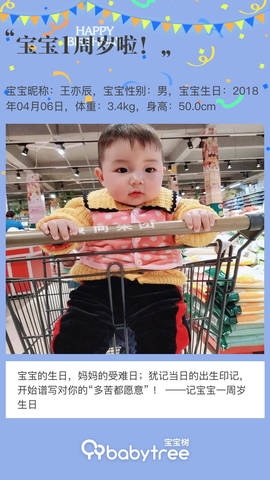 journal_insert_pic_1209146410