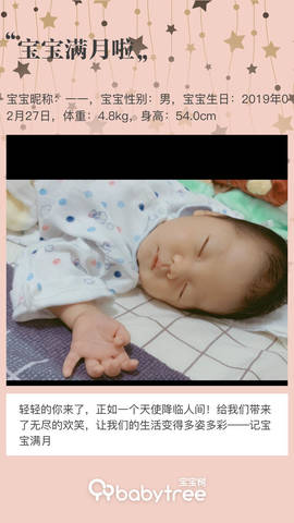 journal_insert_pic_1209169823