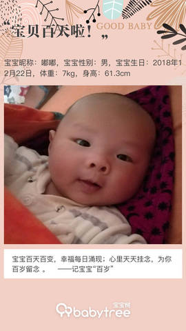 journal_insert_pic_1209618802