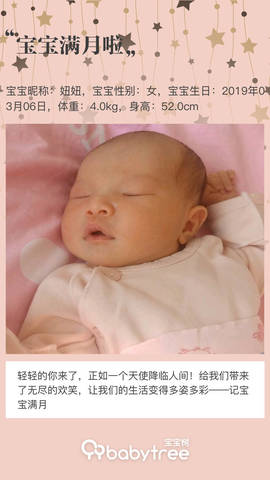 journal_insert_pic_1209625122