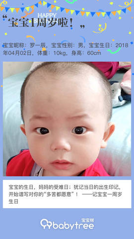 journal_insert_pic_1209438440