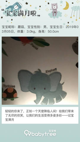 journal_insert_pic_1209320207