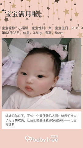 journal_insert_pic_1210034442