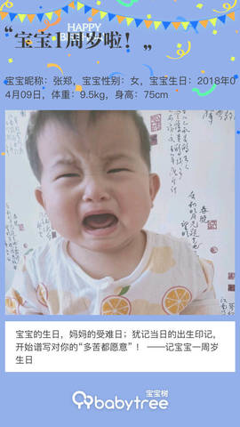 journal_insert_pic_1210781250