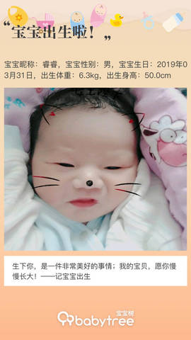 journal_insert_pic_1210549774