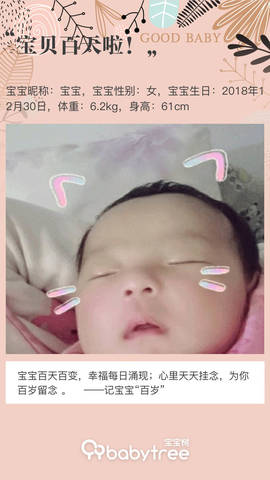 journal_insert_pic_1210780282