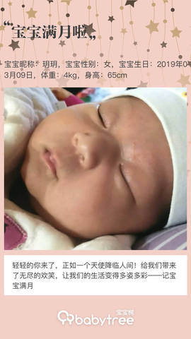 journal_insert_pic_1210541876
