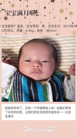 journal_insert_pic_1210541795