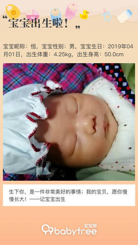 journal_insert_pic_1210877305