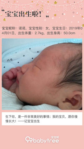 journal_insert_pic_1211107281