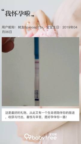 journal_insert_pic_1211142497